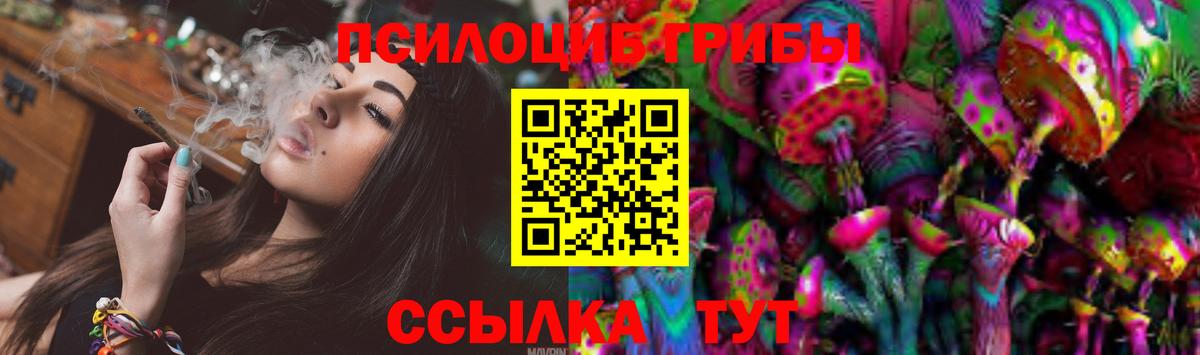 Подольск  Галлюциногенные грибы Psilocybine cubensis  Вход с VPN  Псилоцибиновые грибы прущие грибы 